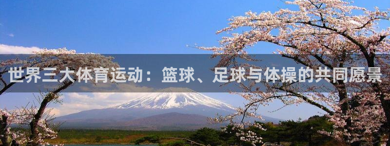 杏彩.com