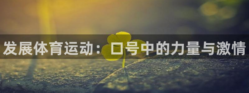 10款沃尔沃xc90详解