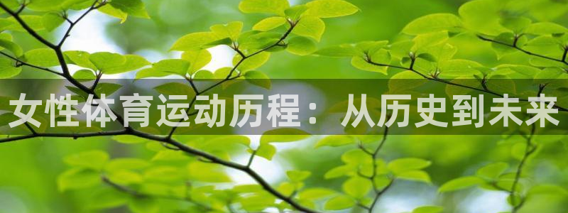 杏彩xc2平台登录