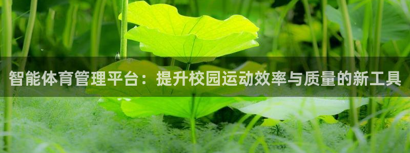 女性xc代表什么部位