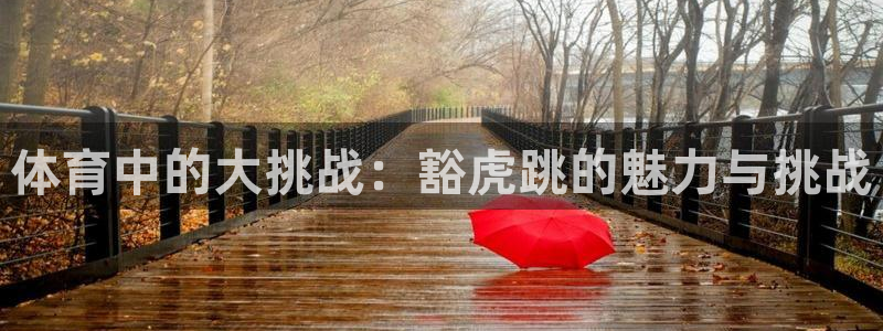 佛山市南海杏彩xc机电仪器有限公司