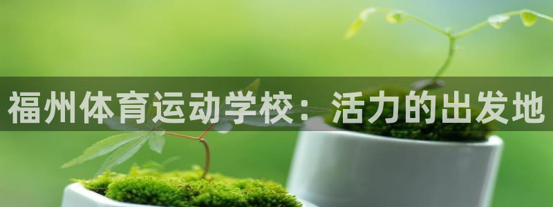 xc是什么车牌
