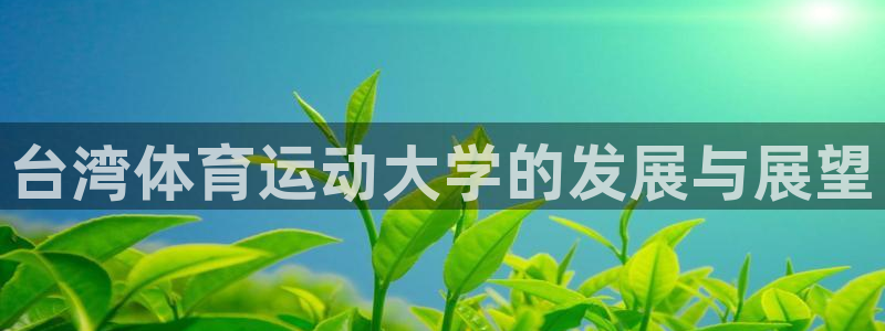 xc可以组成什么词语
