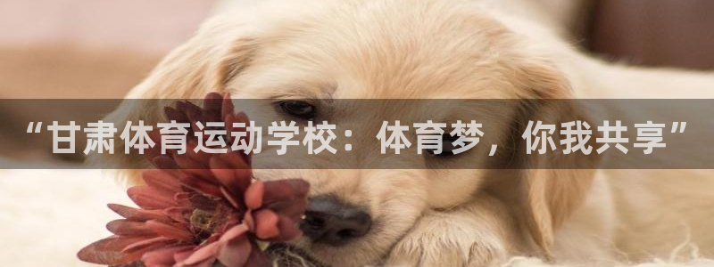 xc电脑是啥