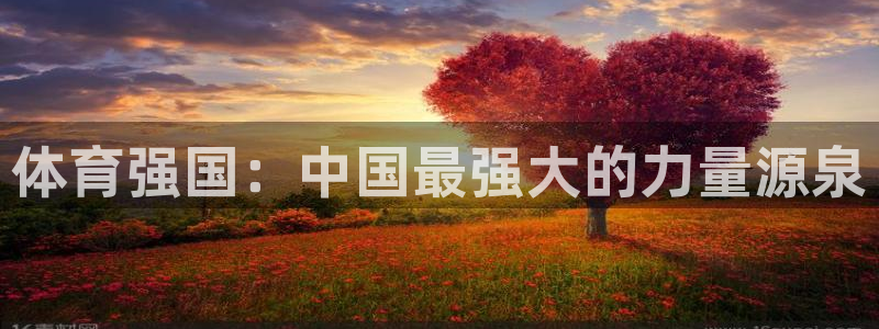 杏彩xc体育平台注册