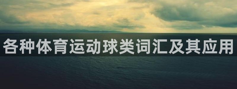 沃尔沃xc 90