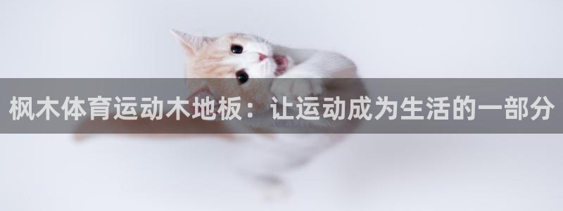 xc是谁