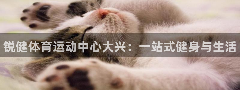 xc业务是什么意思