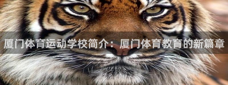 xc环境是什么意思