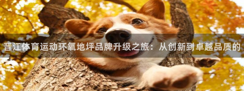 女人xc是什么意思