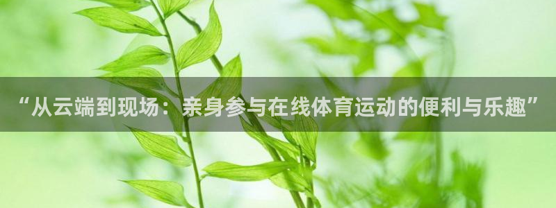 钢结构中xc是什么意思