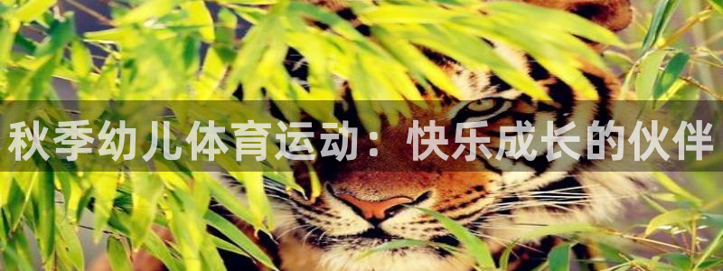 杏彩客户端