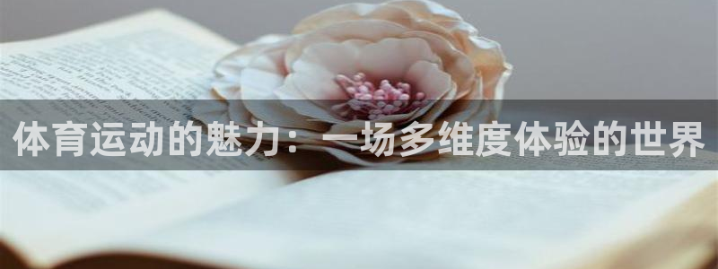 12年沃尔沃xc90怎么样