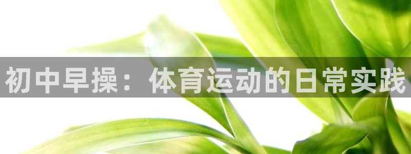 xc挖掘机是什么牌子