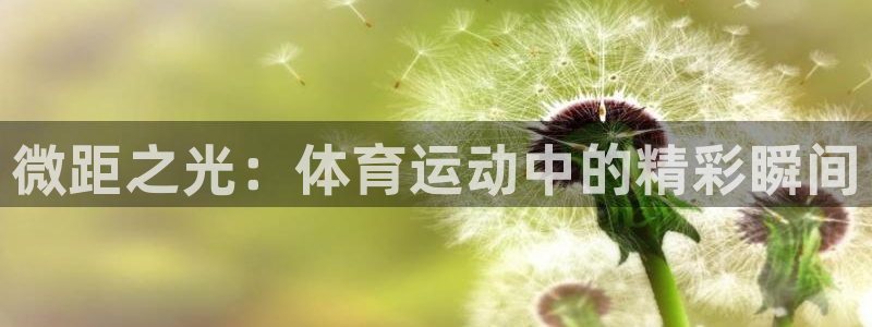 xc是什么的缩写