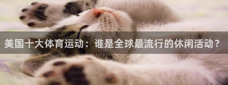 xc是哪个部位图片