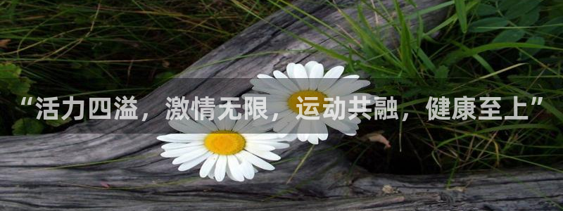 杏彩xc2平台