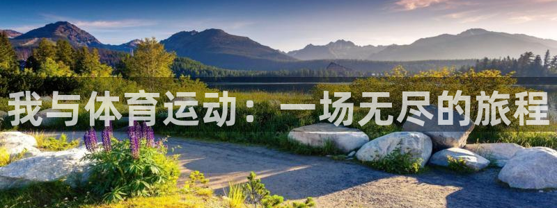 xc和xc有什么不同