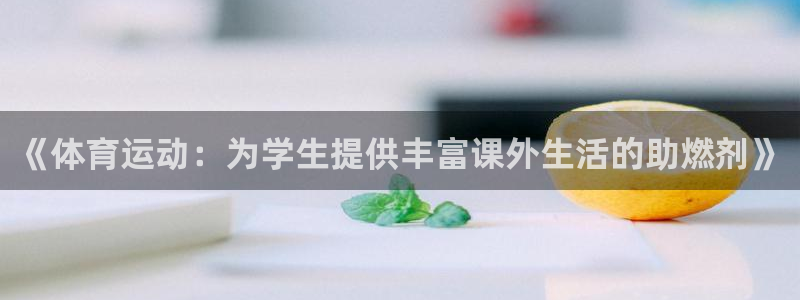 xc是什么挖机