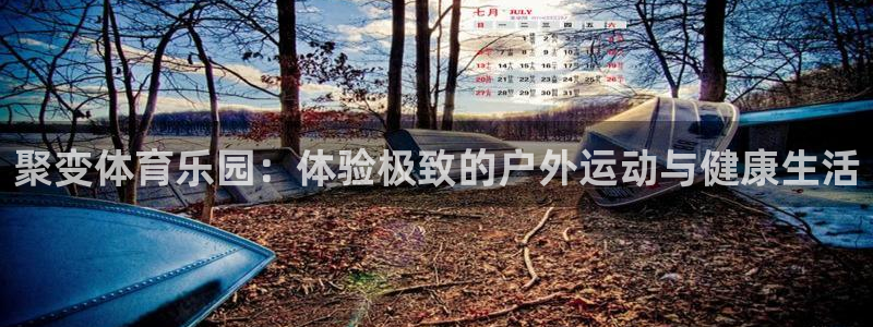 想要xc