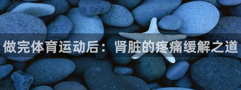 xc是哪个部位