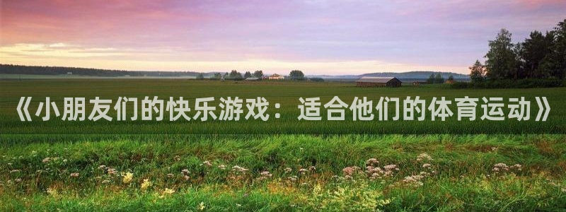 xc网络意思