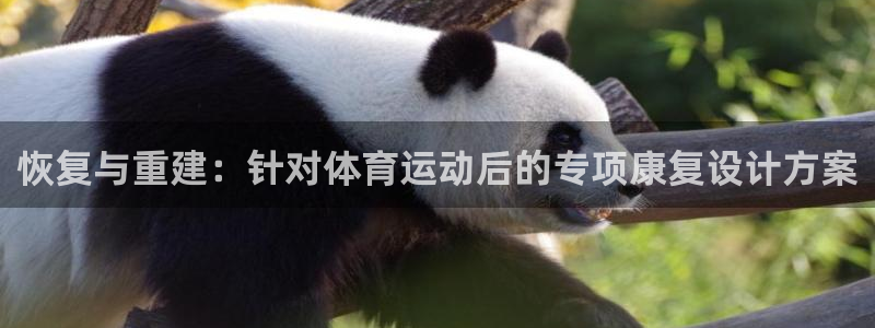 杏彩xc体育在线注册