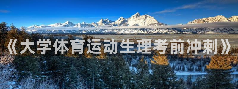 xc是啥