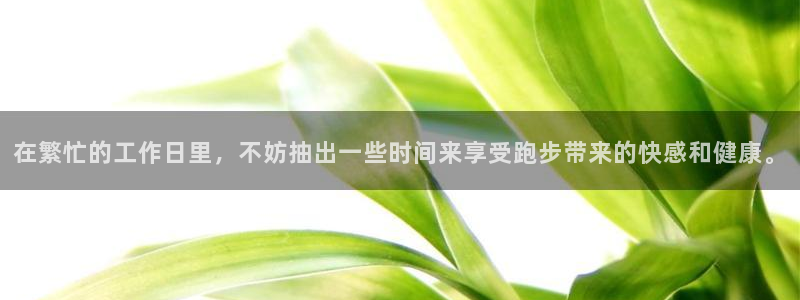 杏彩xc2平台注册