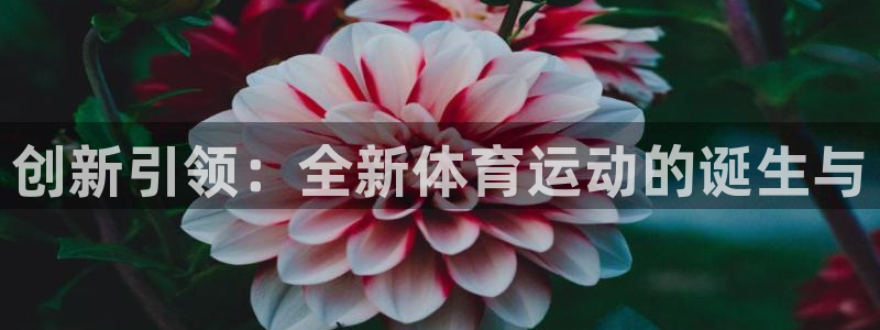xc是什么部位